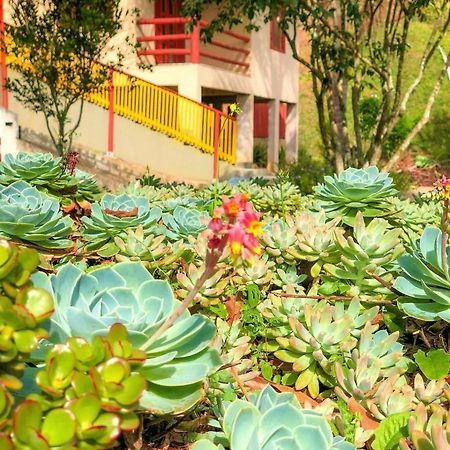 Sitio Dos Palmitos - Casa Pupunha Hotel เปดราอาซุล ภายนอก รูปภาพ