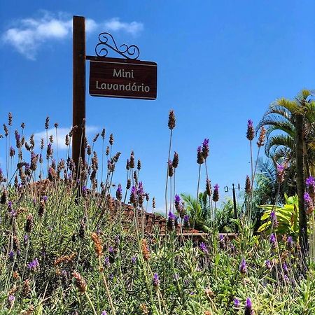 Sitio Dos Palmitos - Casa Pupunha Hotel เปดราอาซุล ภายนอก รูปภาพ